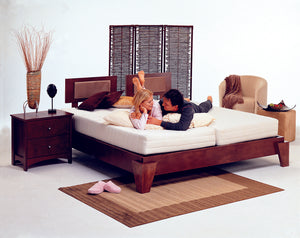 The New Niagara 'Adjustamatic' Model M-4500 Dreameasy  Adjustable Bed