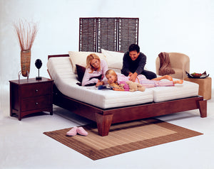 The New Niagara 'Adjustamatic' Model M-4500 Dreameasy  Adjustable Bed