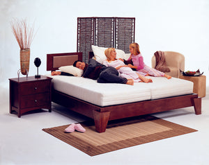 The New Niagara 'Adjustamatic' Model M-4500 Dreameasy  Adjustable Bed