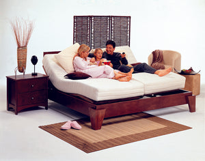 The New Niagara 'Adjustamatic' Model M-4500 Dreameasy  Adjustable Bed